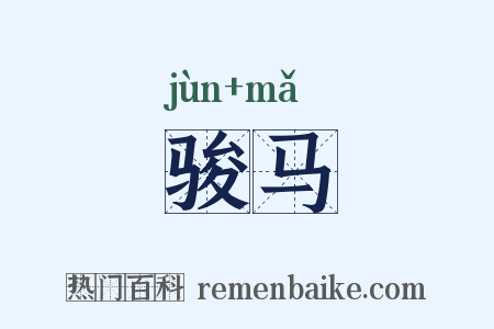 骏马是什么意思的图片